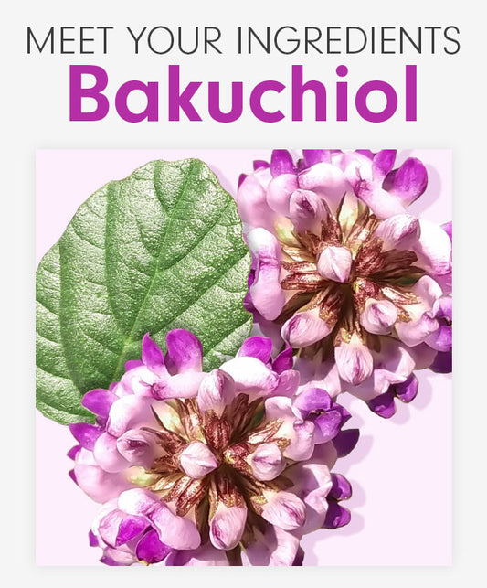 Bakuchiol?! The retinol alternative you need to know about