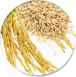 Ferulic Acid in GoPure
