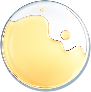 Reforcyl-Aion®