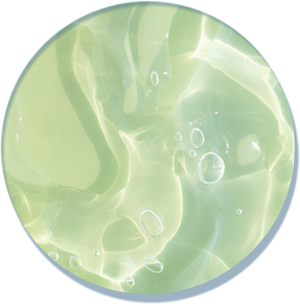 Kakadu Plum