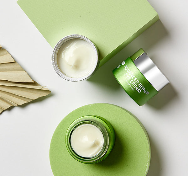 Stephanie's Favorites